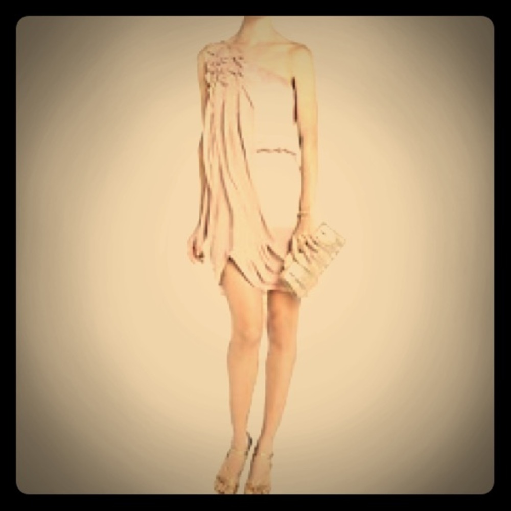 Antique blush “Lydia” BCBG Max azria dress